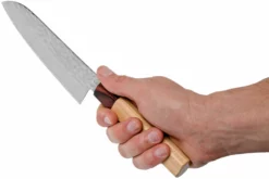 Sakai Takayuki Santoku 33-Layer Damascus Hammered WA 17 Cm -KNIVESANDTOOLS Soldes TA07472 06 sakai takayuki scaled