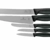 Victorinox SwissClassic 6.7133.5G Set De 5 Couteaux De Cuisine, Noir -KNIVESANDTOOLS Soldes VT6 7133 5G 01 victorinox scaled